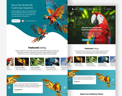 Bird website UIUX Design