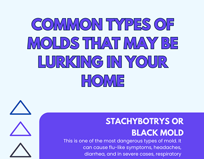 Common Types of Molds That May Be Lurking in Your Home