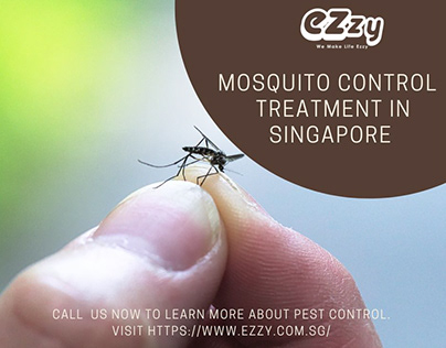 Mosquito Pest Control Services in Singapore