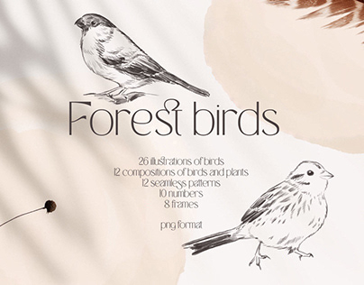 FOREST BIRDS sketches collection. vol.1