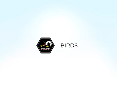 BIRDS Recruitment Video