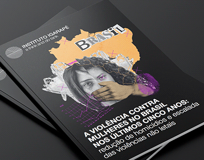 Relatório Violência Contra Mulheres - Instituto Igarapé