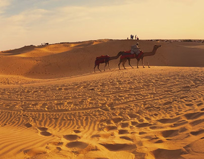 Desert Safari : Exploring India's Arid Landscapes