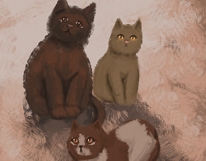 Cats in warm atmosphere
