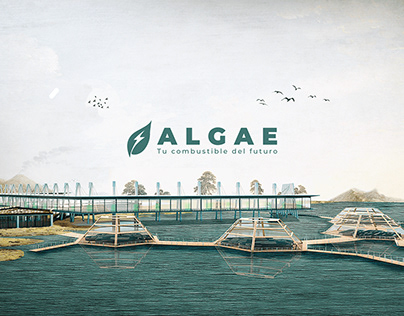 ALGAE Sustainable Architecture