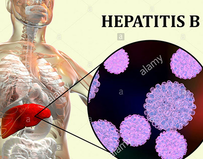 HEPATITIS B GUIDE
