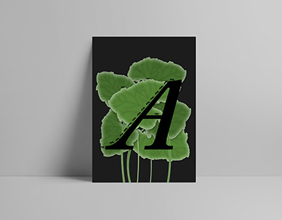 A-Z Graphic Design