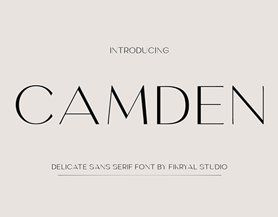 Project thumbnail - Camden - Delicate Sans Serif Font