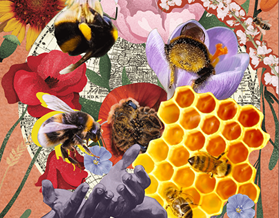 Bee Collage