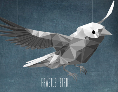 Fragile Bird