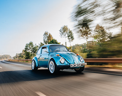 VW Beetle (The O.G)