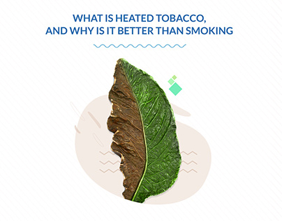 Tobacco Infographic [Image + vector]