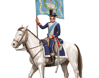 Book Illustrations - Argentine military flags