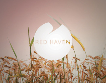 Red Haven Identity