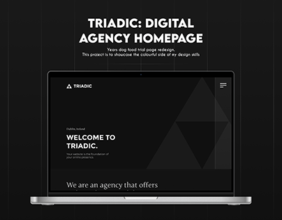 Triadic Digital Agency Website Homepage