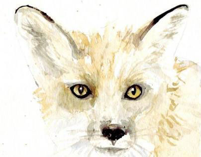 Watercolor foxes
