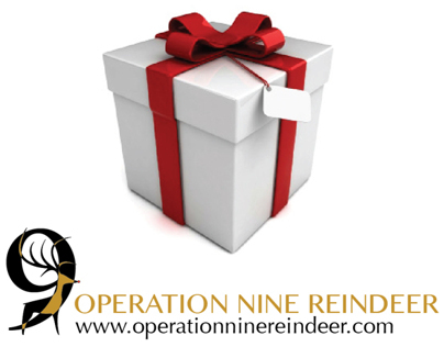 Operation Nine Reindeer - Mission 001