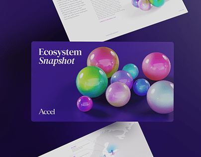 Accel — Ecosystem Snapshot