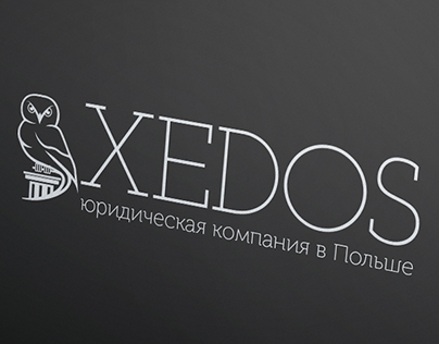 Logo and Business card design for XEDOX