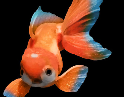 Digital painting - Fish