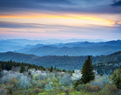 The great Smoky Mountains and the Blue Tree path
