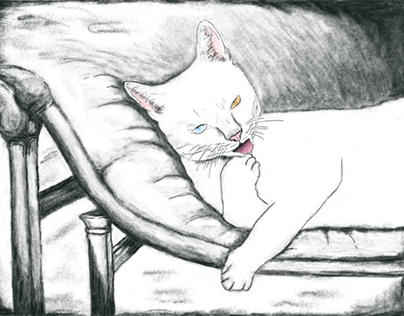 Ilustración gato