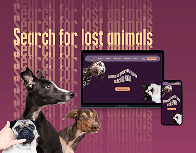 Search for lost animals - web service