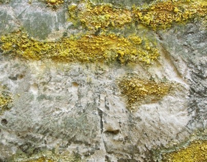 The Borgias (2012)  sulphure surfaces