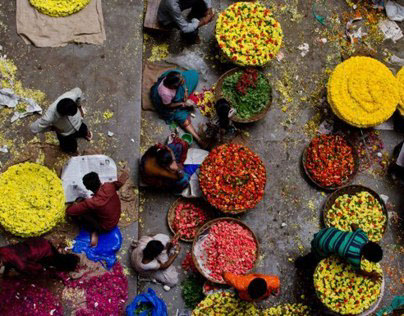 Colors of India