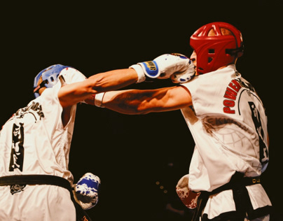 Taekwondo GALA NIGHT