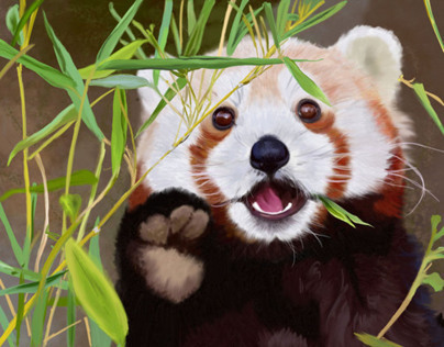 Red panda digi painting