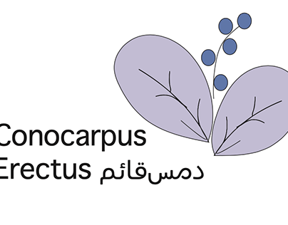 Conocarpus Erectus