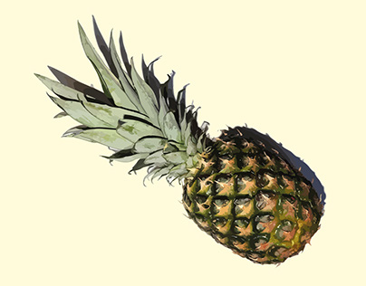 Pineapple vector art