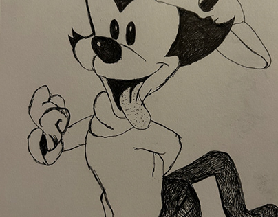 90s Wakko