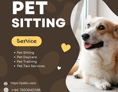 Pet Sitting Services In UK