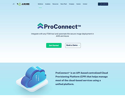 Web design for ProConnect