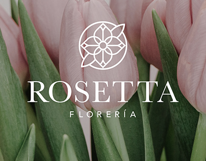 Rosetta Florería Branding