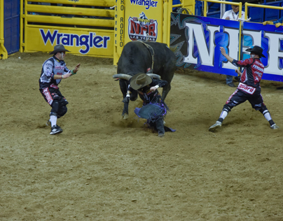 Bull Fighters