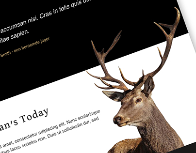 Home Page Design Concept for Hunting Lodge