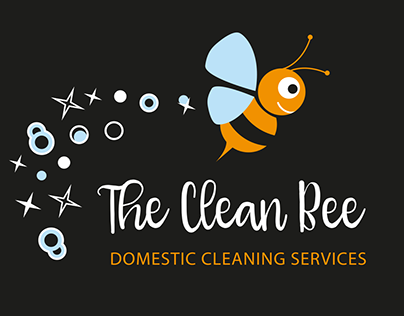 Domestic Cleaning service