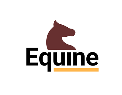 Equine | Interaction Design & Motion