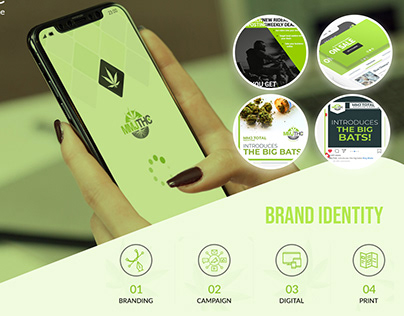 Mobile/Web Application UI & complete Branding