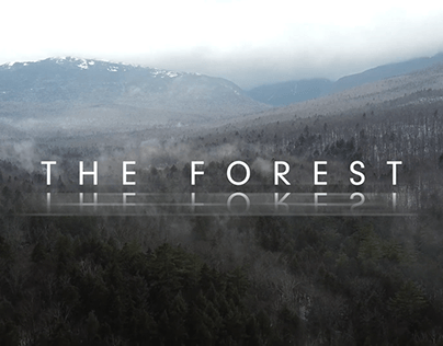 The Forest Title Animation