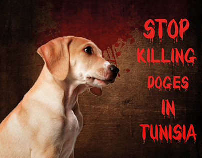 stop killing doges in tunisia