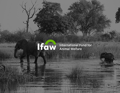 IFAW: Responsive Redesign