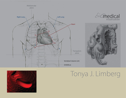 Biomedical Visualization
