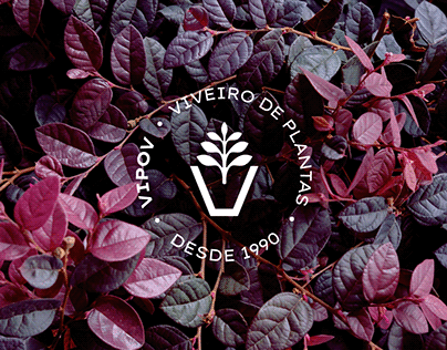 VIPOV - Plants Nursery - Branding