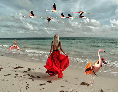 Realistic Birds Overlays Photoshop PNG Photography