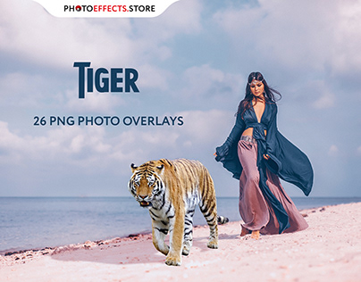 26 Tiger Photo Overlays