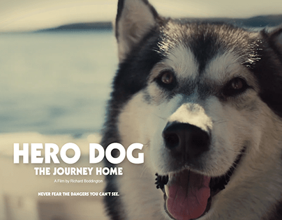 Hero Dog: The Journey Home (International Trailer)